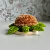 Turtle plushie amigurumi
