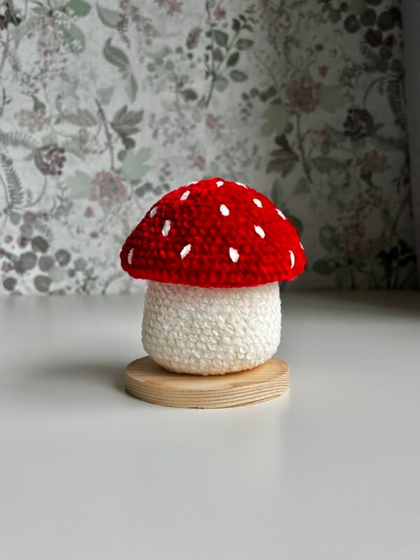 IMG_6246 Mushroom plushie amigurumi